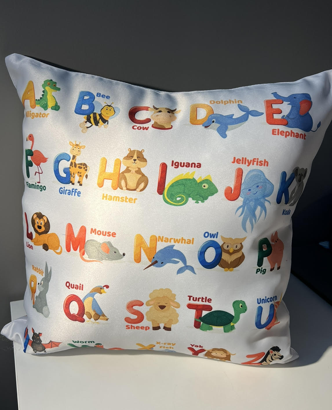 Custom Pillow